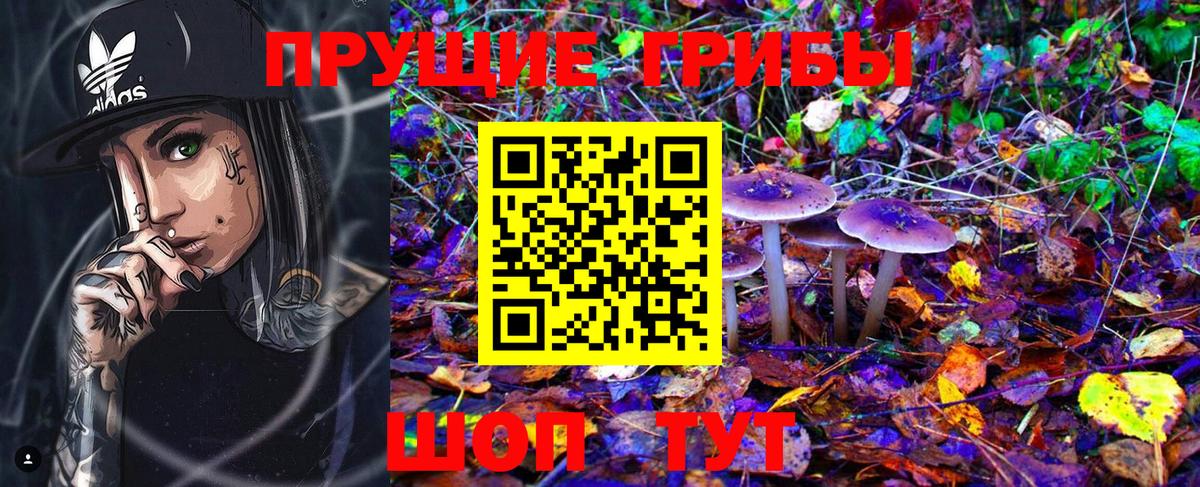 Галлюциногенные грибы Magic Shrooms Курчалой