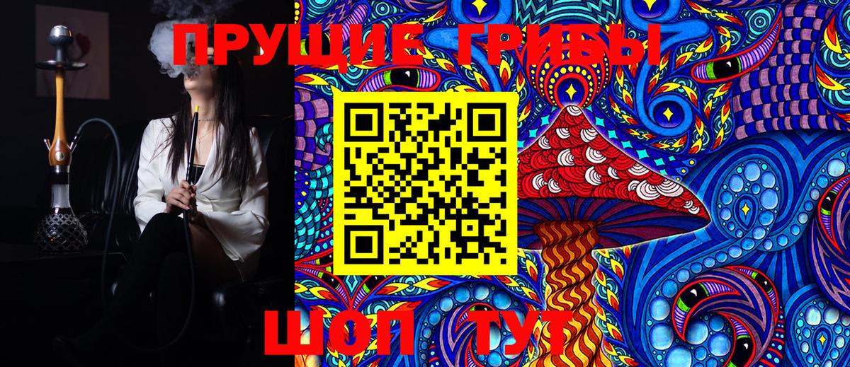 Галлюциногенные грибы Magic Shrooms  Вход с VPN  даркнет сайт  Курчалой 