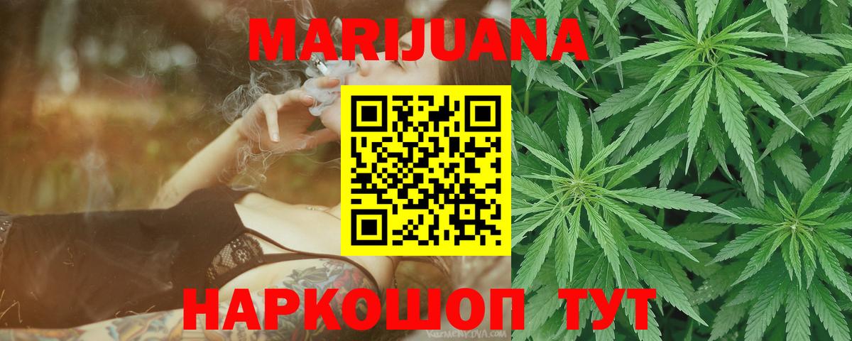 Канабис OG Kush Курчалой